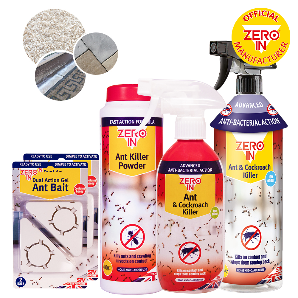 Indoor & Outdoor Ant Treatment - Lethal Kit: Complete Solution