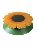 Slug Sunflower Trap
