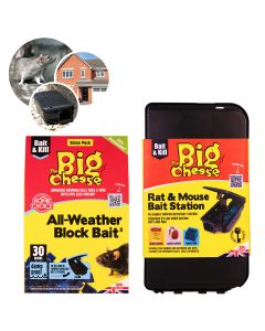 COM145 Bait And Kill Treatments To Protect Your Home From Rats