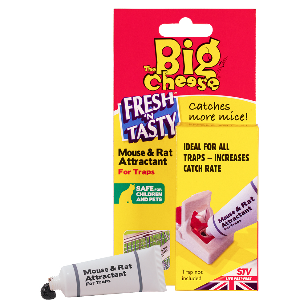 The Big Cheese Fresh 'n Tasty Mouse & Rat Attractant , Natural, Poison-Free Bait